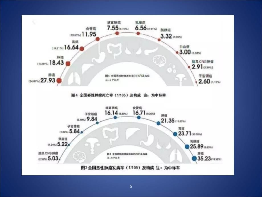 远离癌症ppt课件_第5页