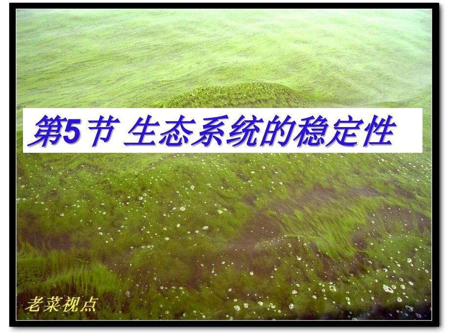 高中生物 生态系统的稳定性 课件人教版必修3_第4页