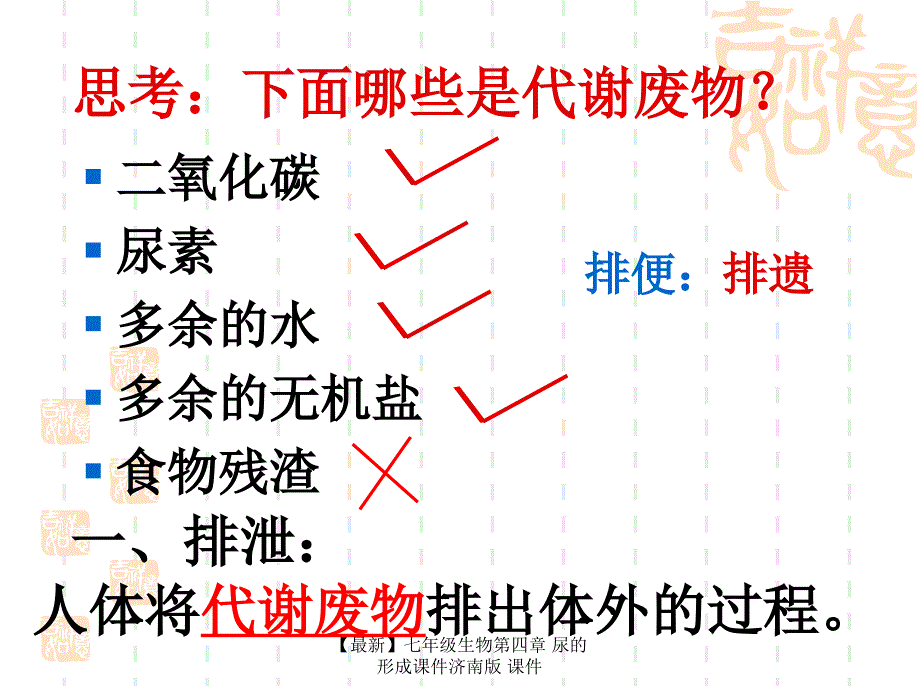 最新七年级生物第四章尿的形成课件济南版课件_第3页