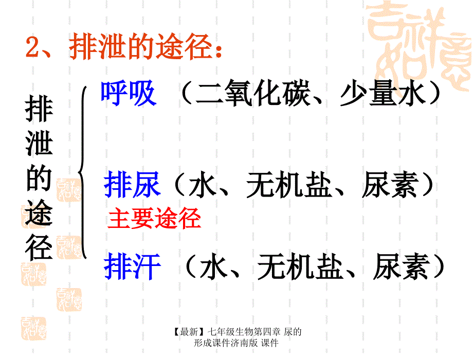 最新七年级生物第四章尿的形成课件济南版课件_第4页