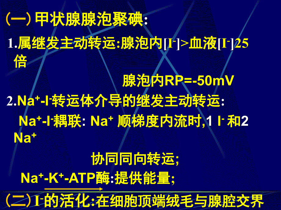 甲状腺的内分泌PPT课件_第4页