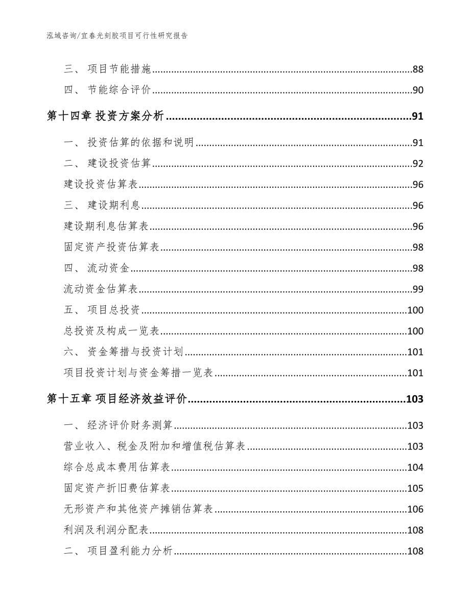 宜春光刻胶项目可行性研究报告范文模板_第5页