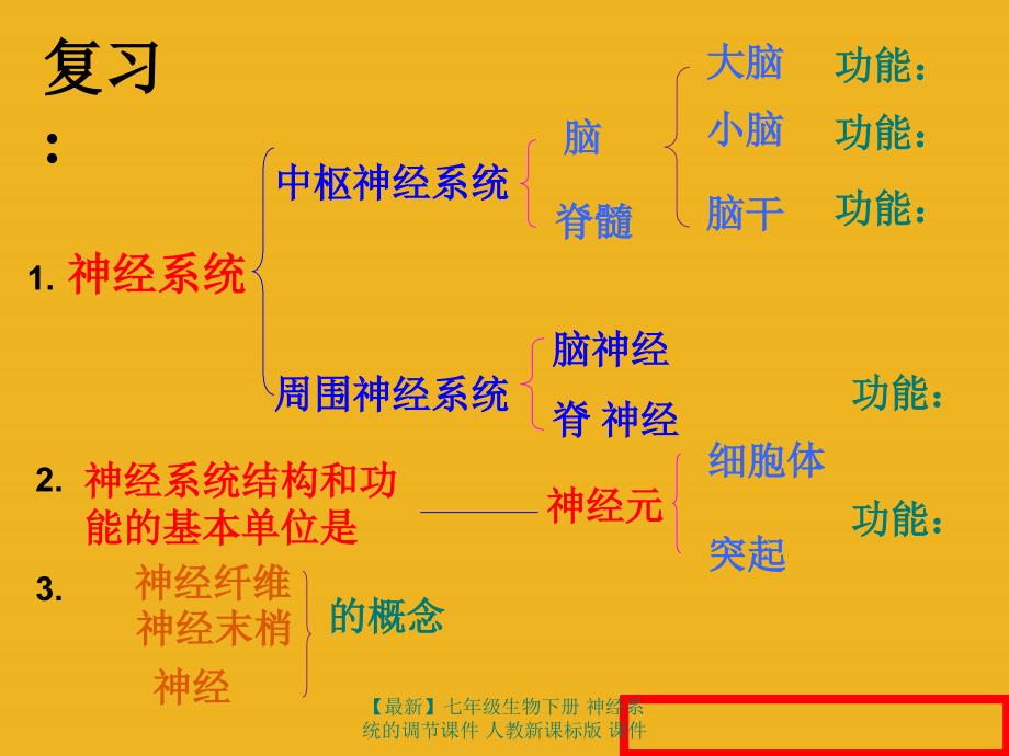 最新七年级生物下册神经系统的调节课件人教新课标版课件_第2页