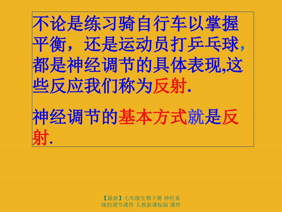 最新七年级生物下册神经系统的调节课件人教新课标版课件_第3页