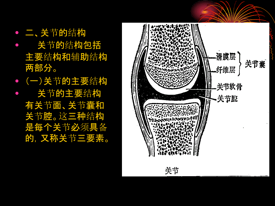 运动解剖学5骨连结概述文档资料_第2页