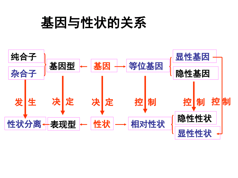 概念图复习（必修二）_第3页