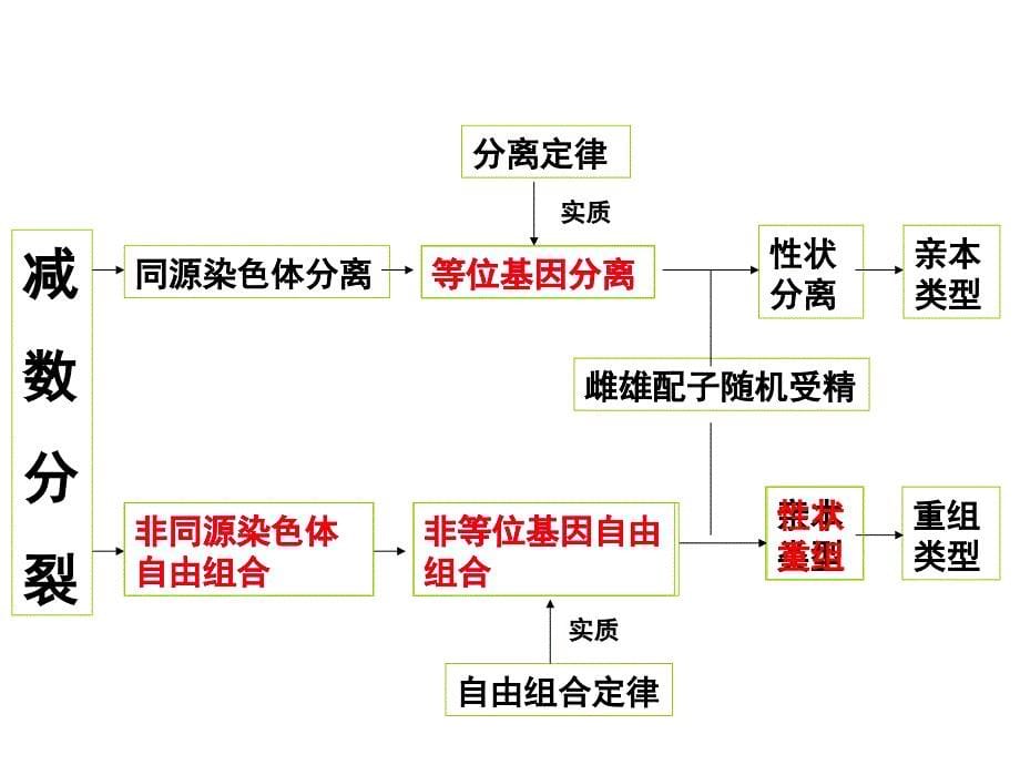 概念图复习（必修二）_第5页