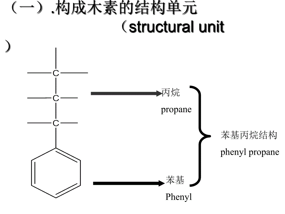 讲第三章：木素之生物合成、分离与利用_第4页