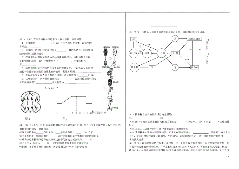 甘肃省嘉峪关市一中高三生物上学期期中试题旧人教版_第4页