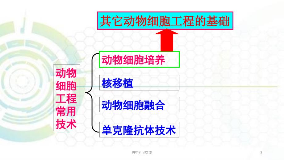 动物细胞工程医学PPT课件_第3页