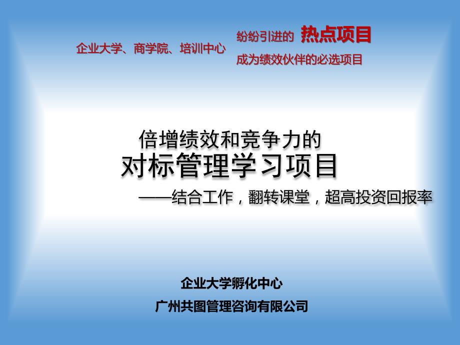 超高投资回报率的对标管理学习项目_第1页