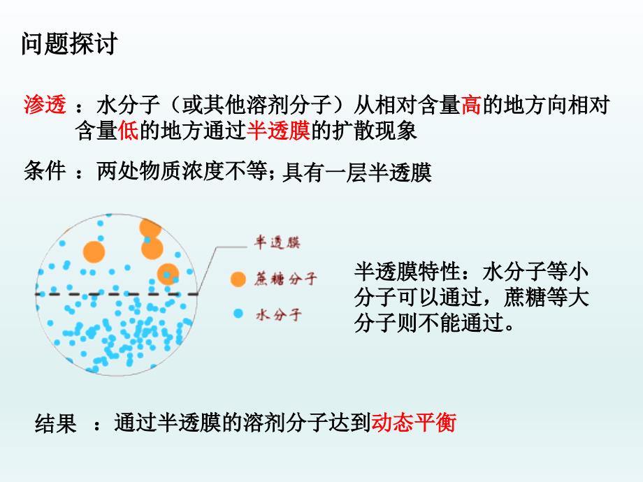 物质跨膜运输的实例.ppt_第3页