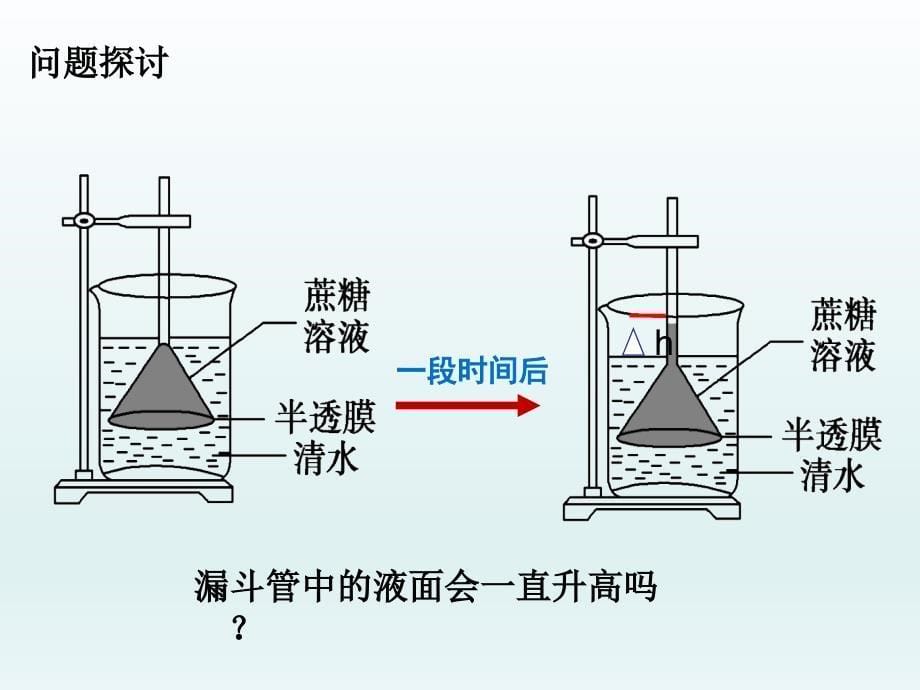 物质跨膜运输的实例.ppt_第5页