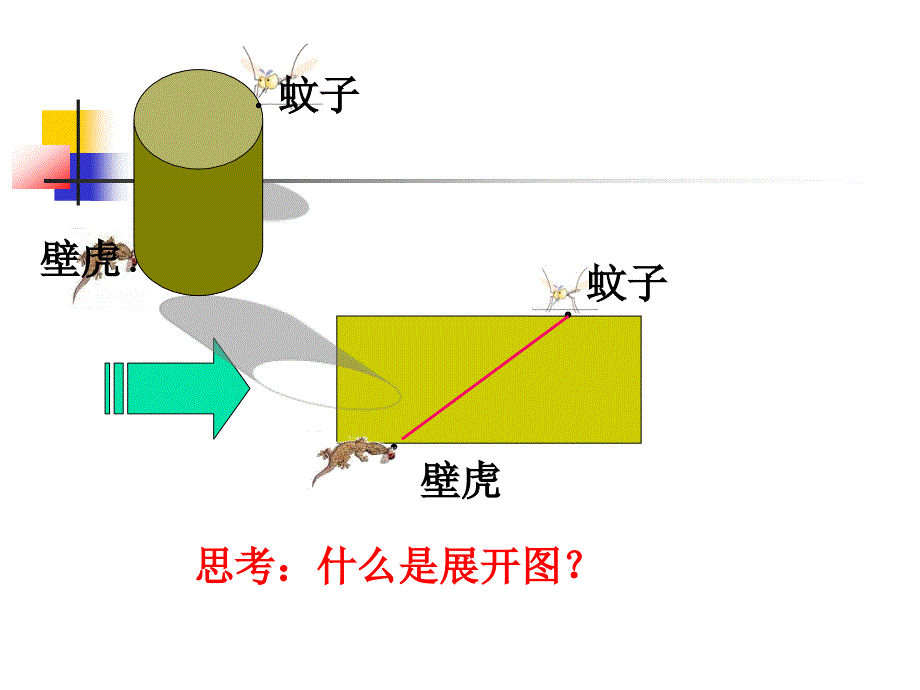 43立体图形的表面展开图1_第3页