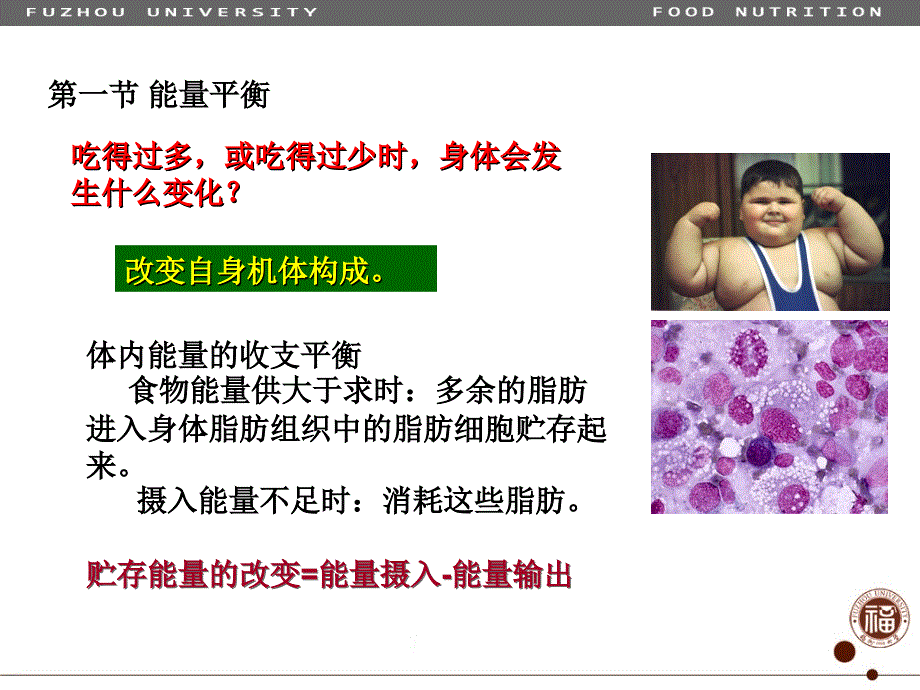 食品营养学03-营养与能量平衡_第3页