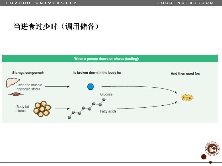 食品营养学03-营养与能量平衡_第5页