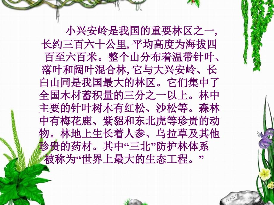 美丽的小兴安岭教学课件2_第2页