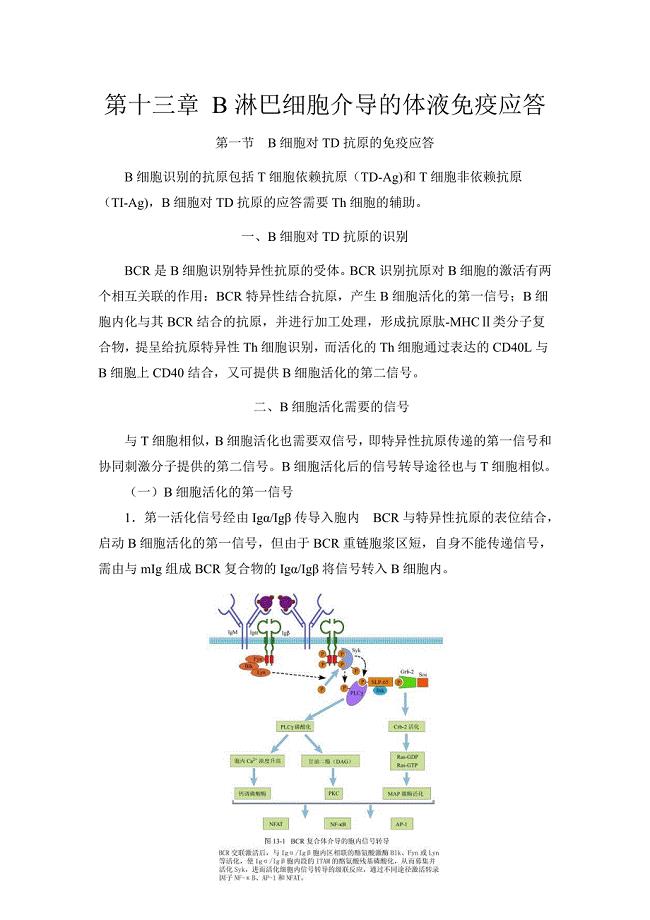 医学免疫学：第十三章B淋巴细胞介导的体液免疫应答