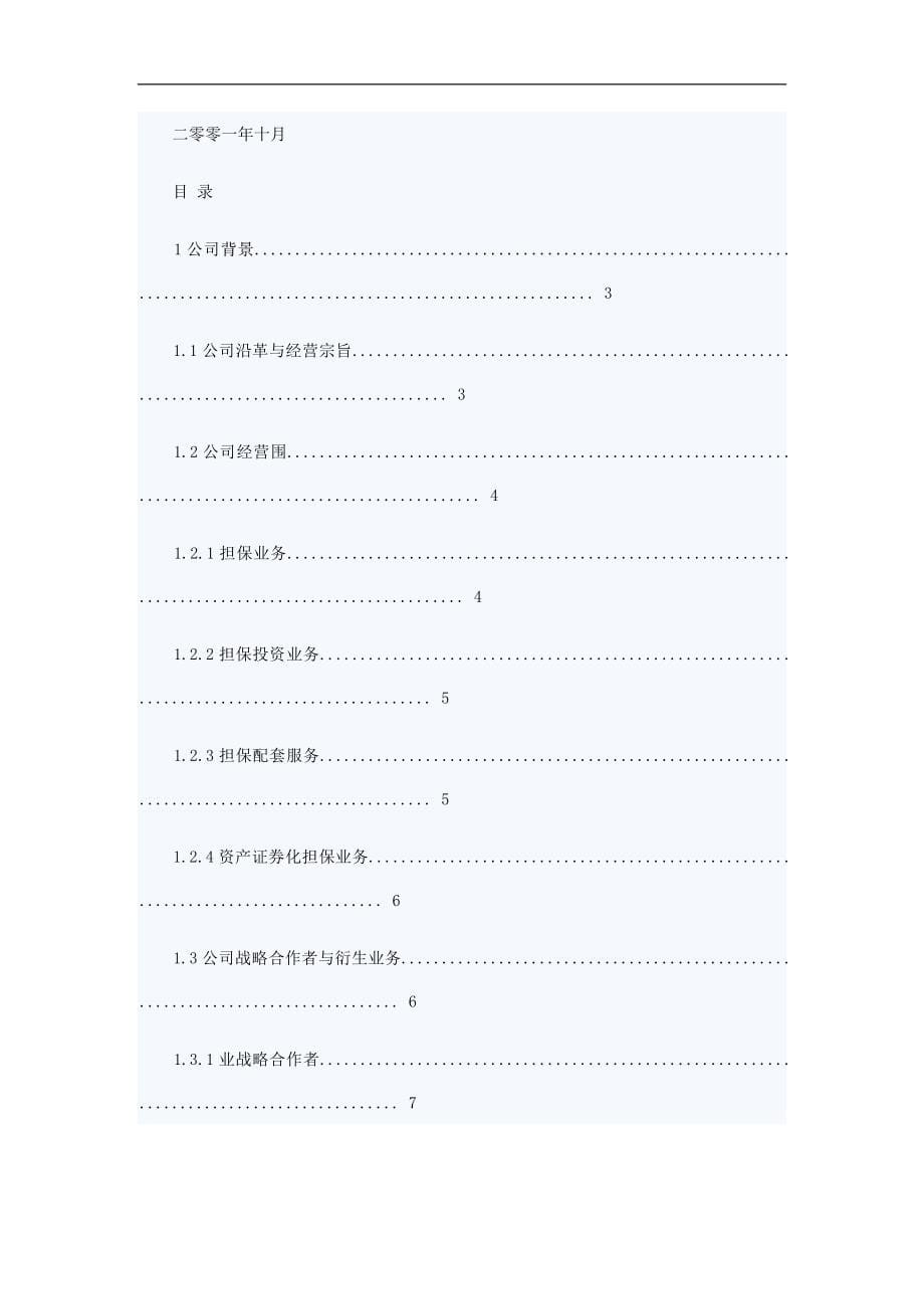 某担保公司商业实施计划书_第5页