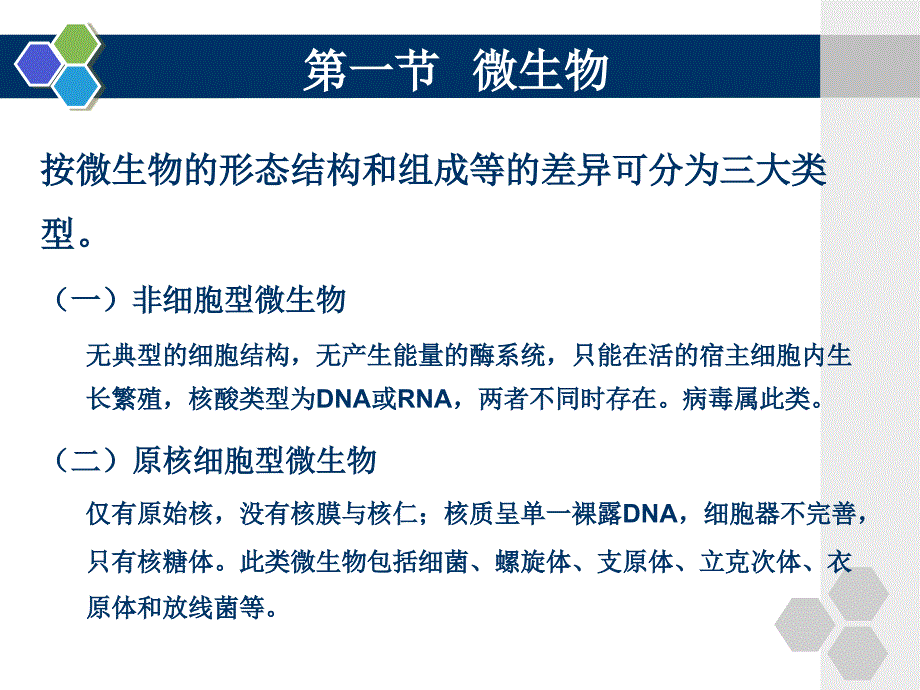 第一章医学微生物学总论_第4页