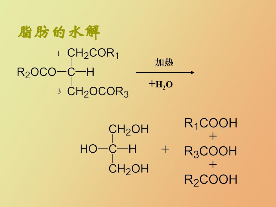 食品化学脂肪_第4页