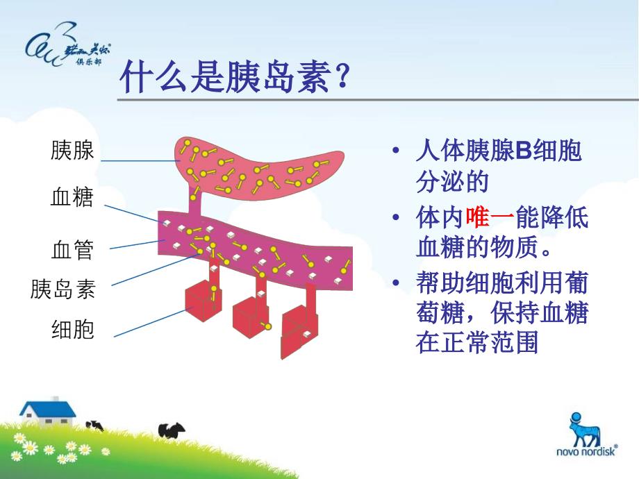 正确认识胰岛素1课件_第3页