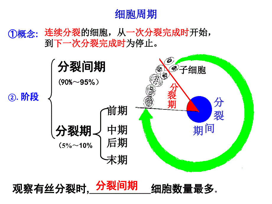 【人教版新教材】《细胞的增殖》课件1_第4页