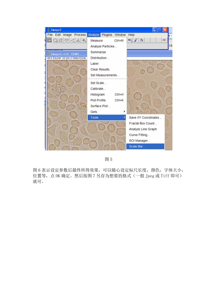 ImageJ软件给图片添加标尺_第3页