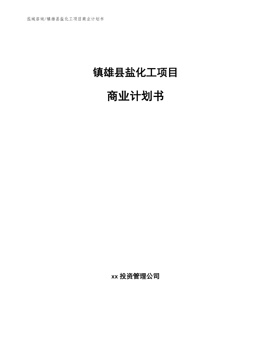 镇雄县盐化工项目商业计划书_第1页