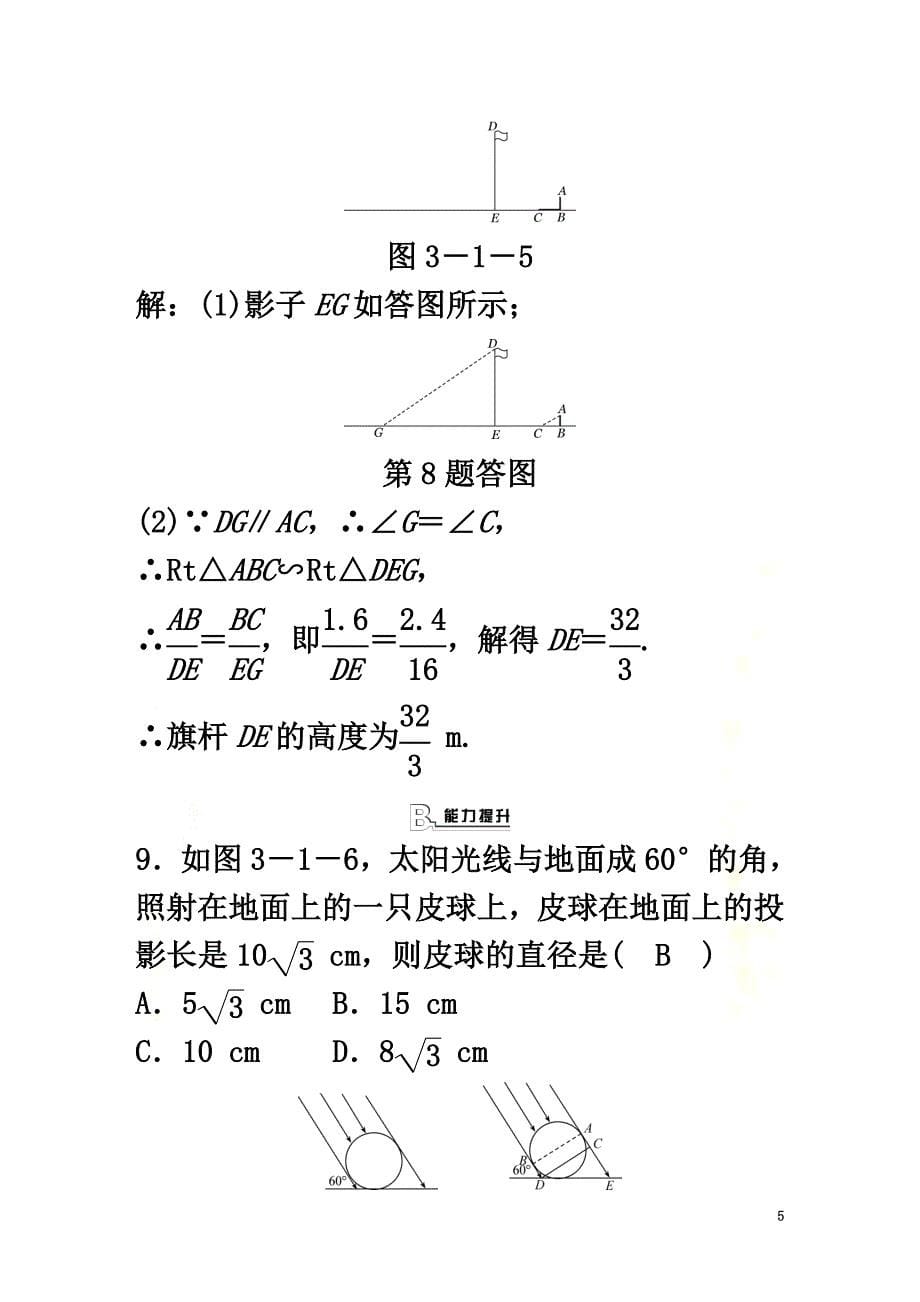 九年级数学下册第3章投影与三视图3.1投影第1课时平行投影随堂练习（含解析）（新版）浙教版_第5页