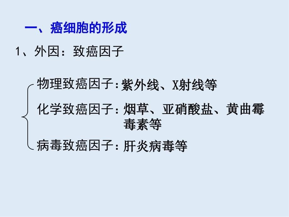 高一生物苏教版必修1课件：5.3关注癌症2_第5页