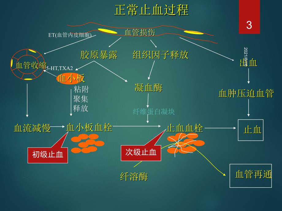 内科学出血性疾病_第3页