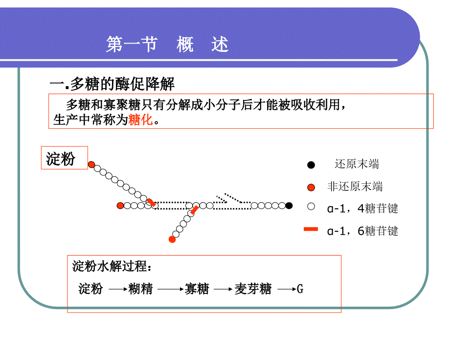 第九章糖代谢_第3页