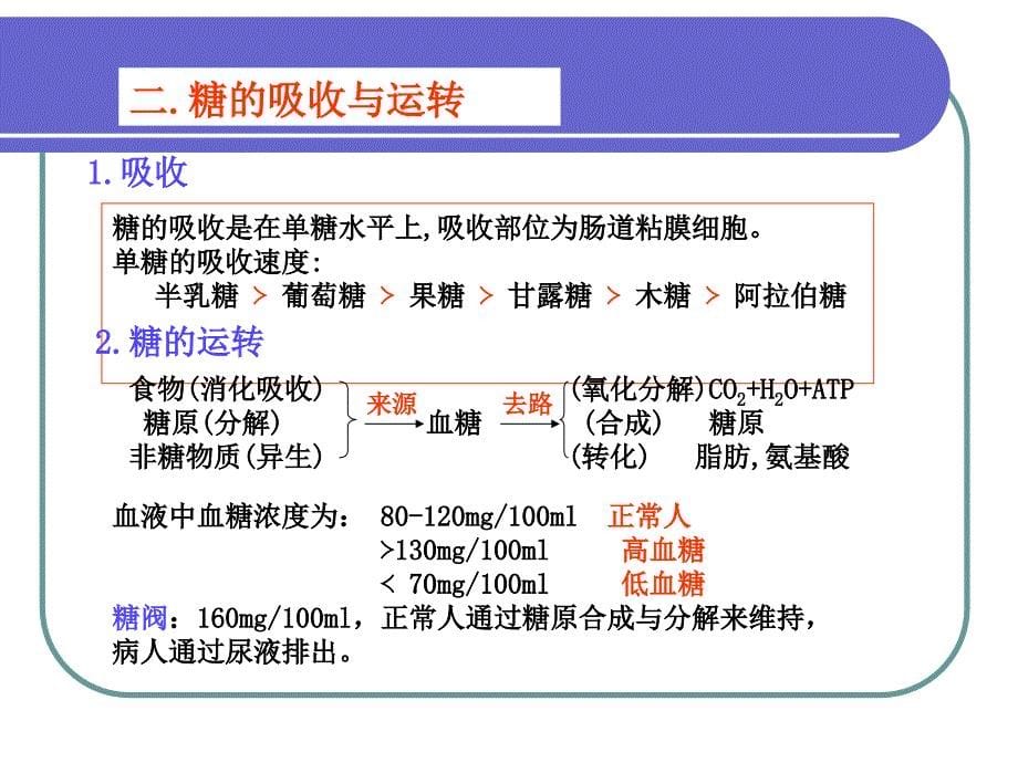 第九章糖代谢_第5页