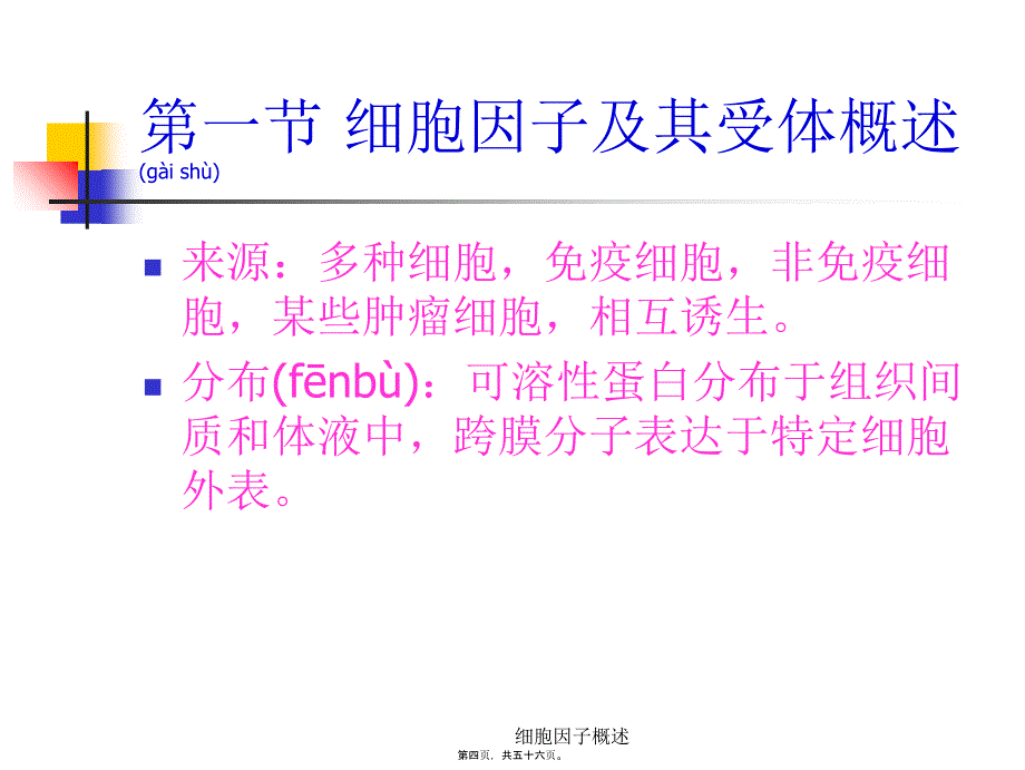 细胞因子概述课件_第4页