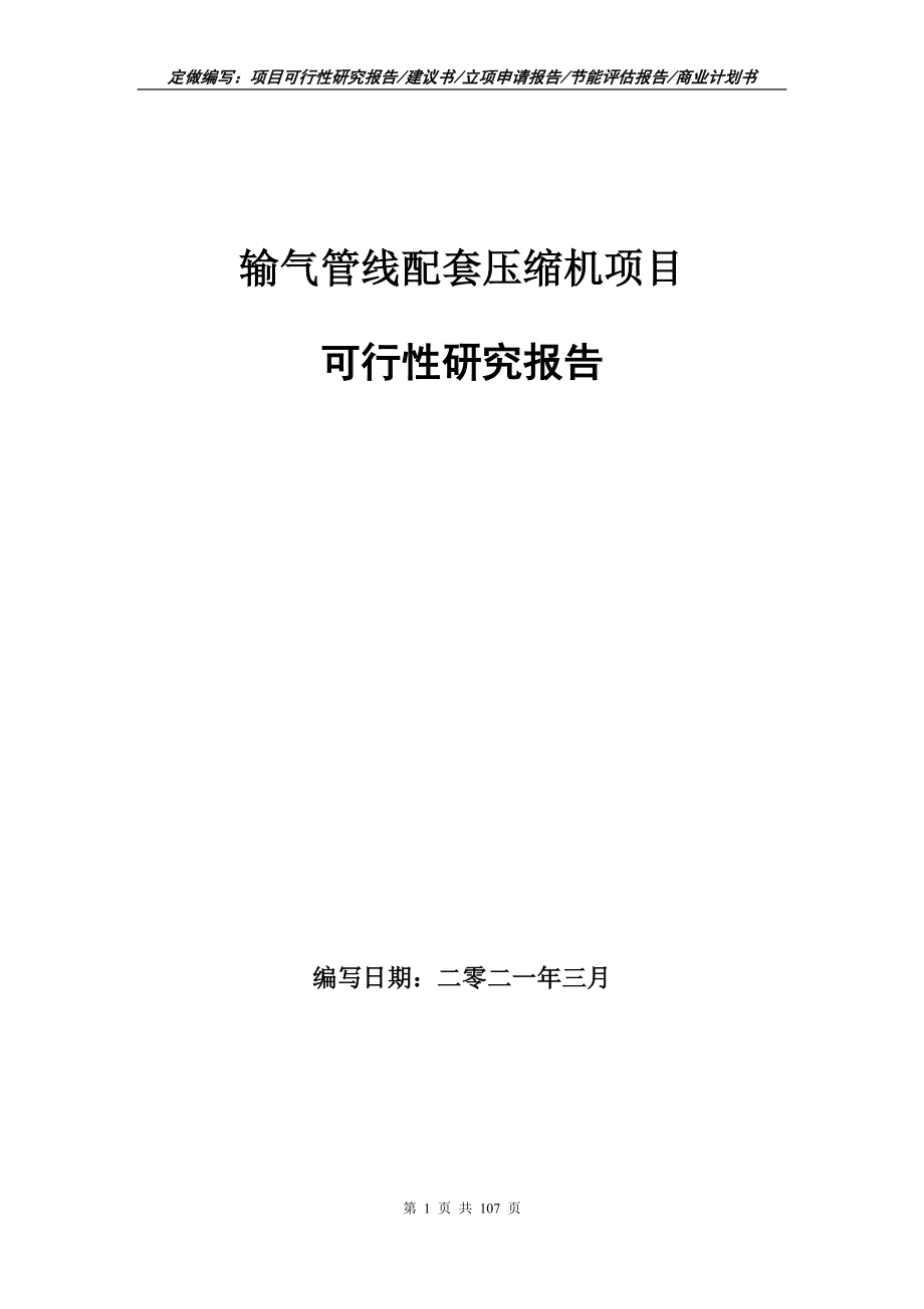 输气管线配套压缩机项目可行性研究报告写作范本_第1页