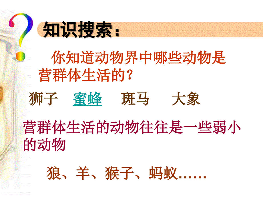 初中二年级生物上册第五单元第二章动物的运动和行为第三节社会行为第一课时课件_第4页