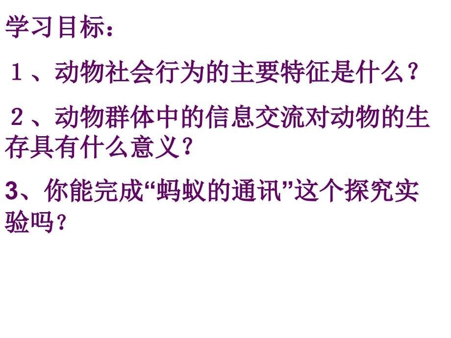 初中二年级生物上册第五单元第二章动物的运动和行为第三节社会行为第一课时课件_第5页