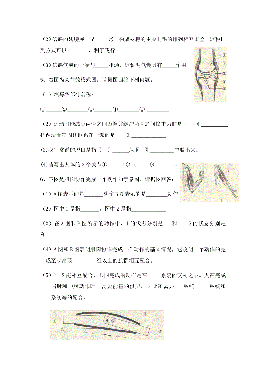 第五单元复习.docx_第2页