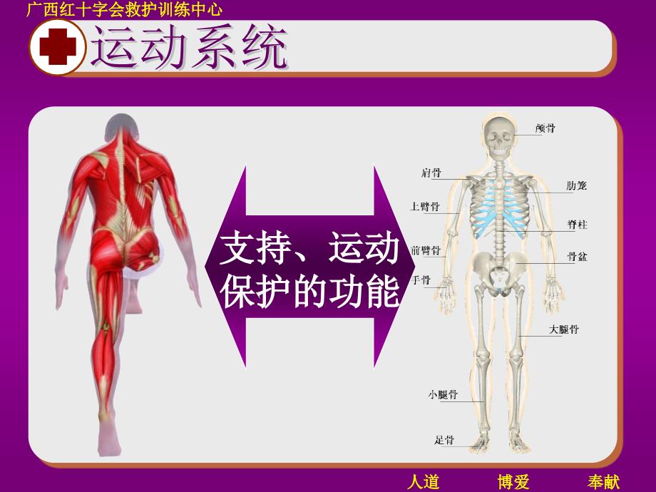 四大技术创伤救护_第2页