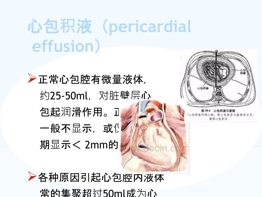 体腔积液的超声测量_第3页