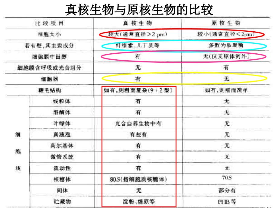 地质微生物学：微生物细胞的结构与功能--真核生物_第3页