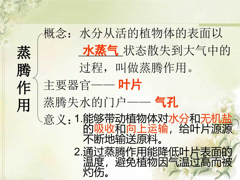 绿色植物的三大作用复习PPT_第3页