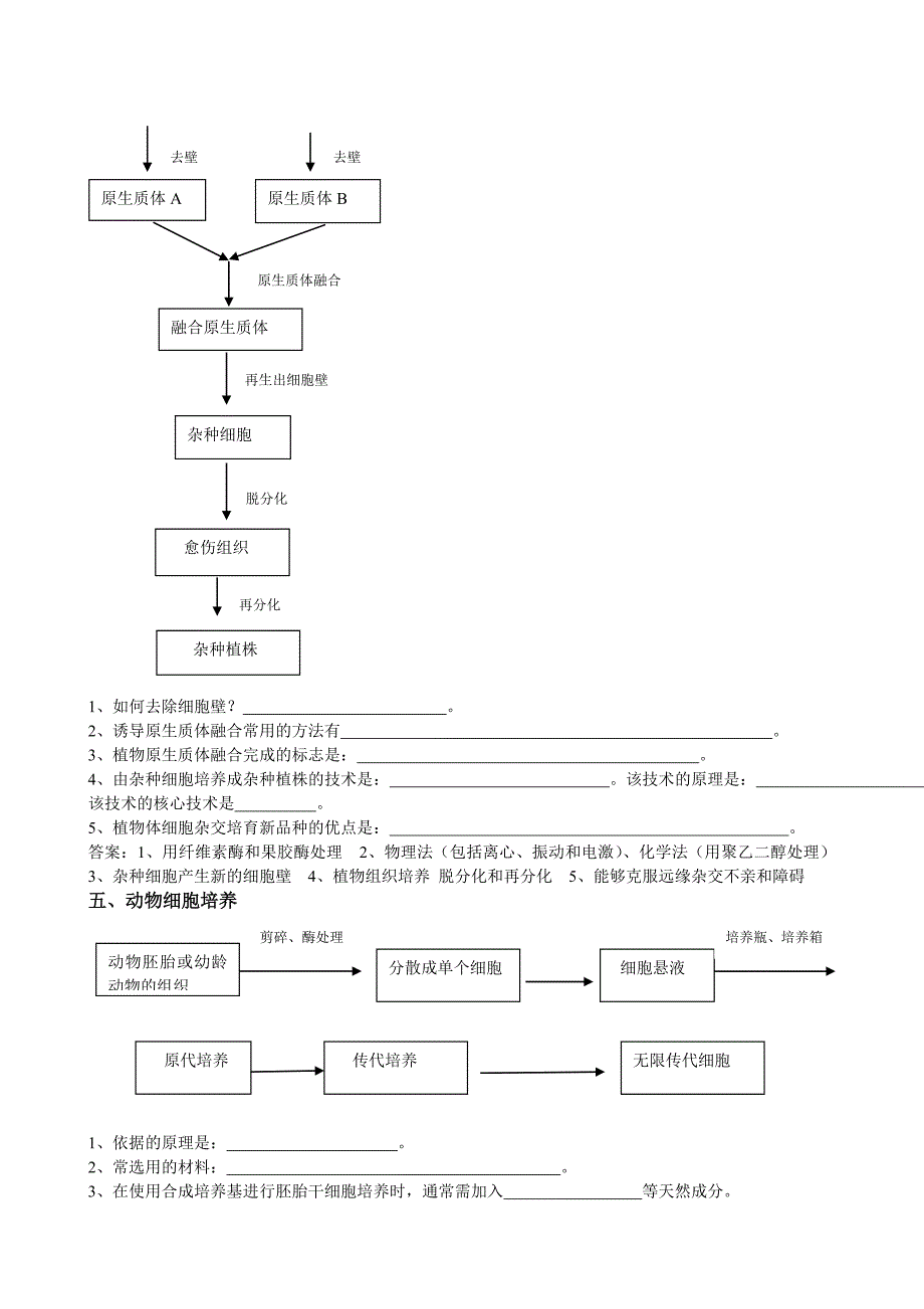 选修三流程图_第3页