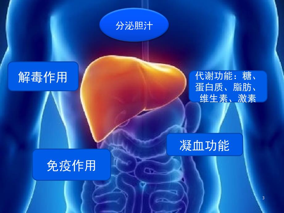 推荐精选肝功能检查与评估_第3页