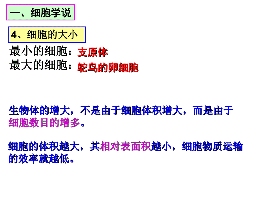 细胞膜和细胞质PPT课件_第3页