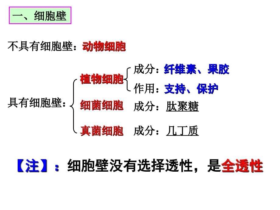 细胞膜和细胞质PPT课件_第5页