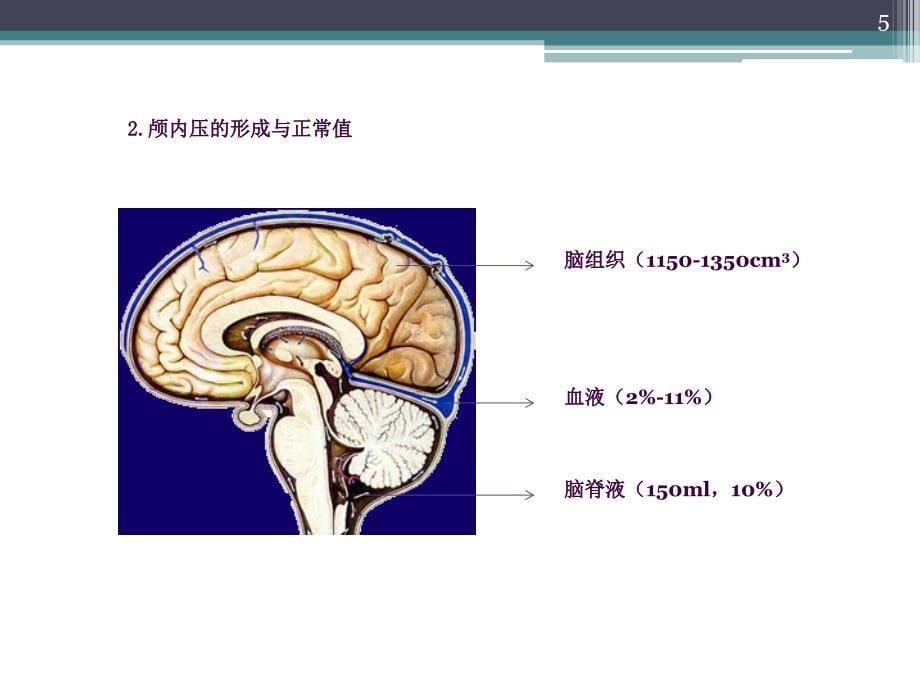 颅内压增高与脑疝ppt课件_第5页