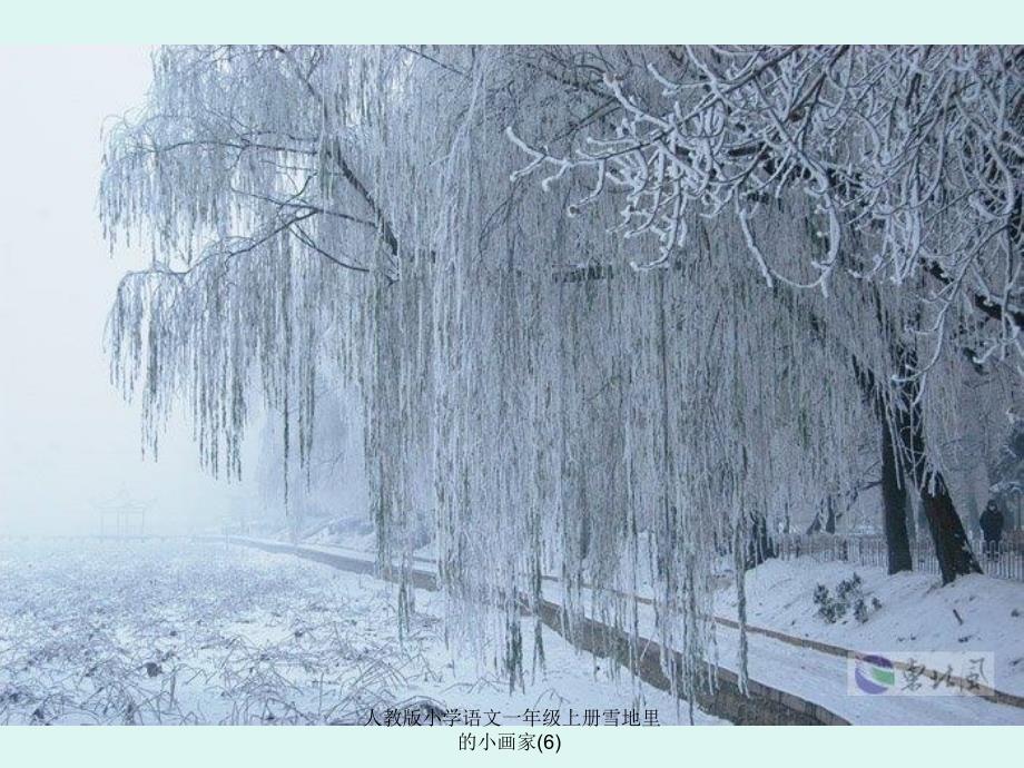 人教版小学语文一年级上册雪地里的小画家6课件_第3页