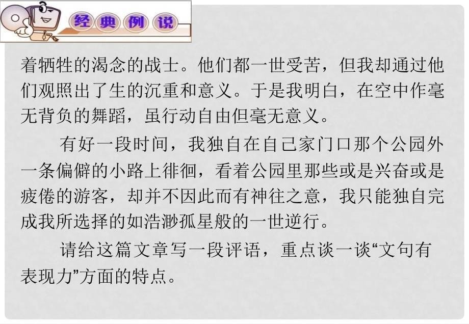 高考语文 专题复习课件44_第5页